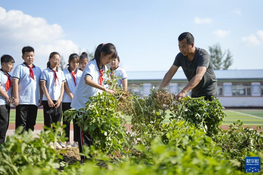 大同dq游戏大厅下载